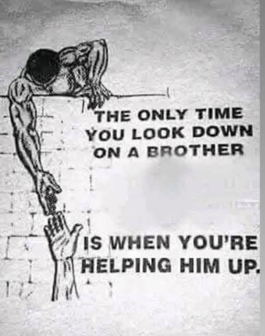 Dear Son. tweet media