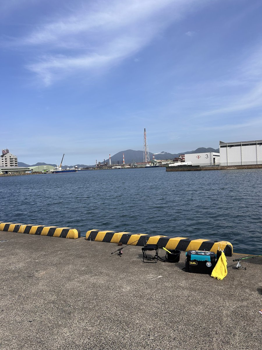 🐟ℭ𝔲𝔯𝔢（キュア）🐟 tweet media