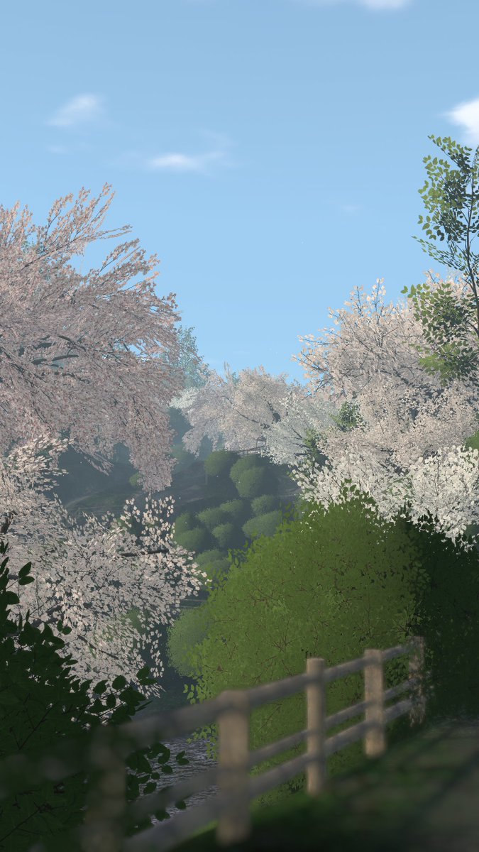 🖤し ょ こ ら🤍 tweet media