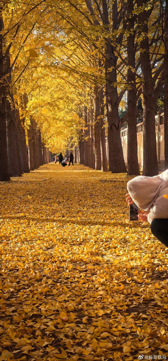 Carlos Martinez tweet media