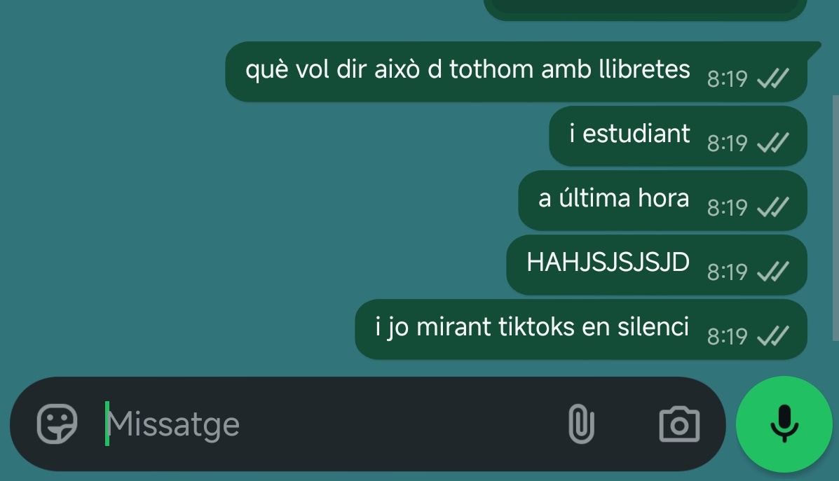 el fènix 🐦‍🔥 tweet media