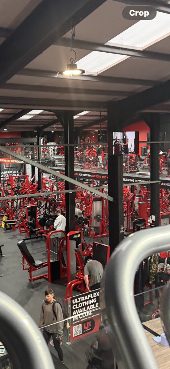 DAN ⚔️⚔️⚔️ tweet media