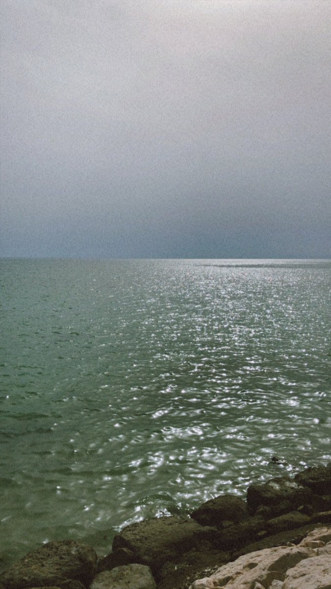 غزَل tweet media