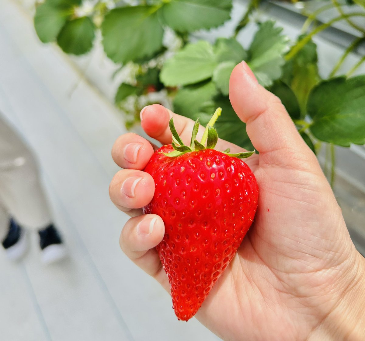 はと🐧 tweet media