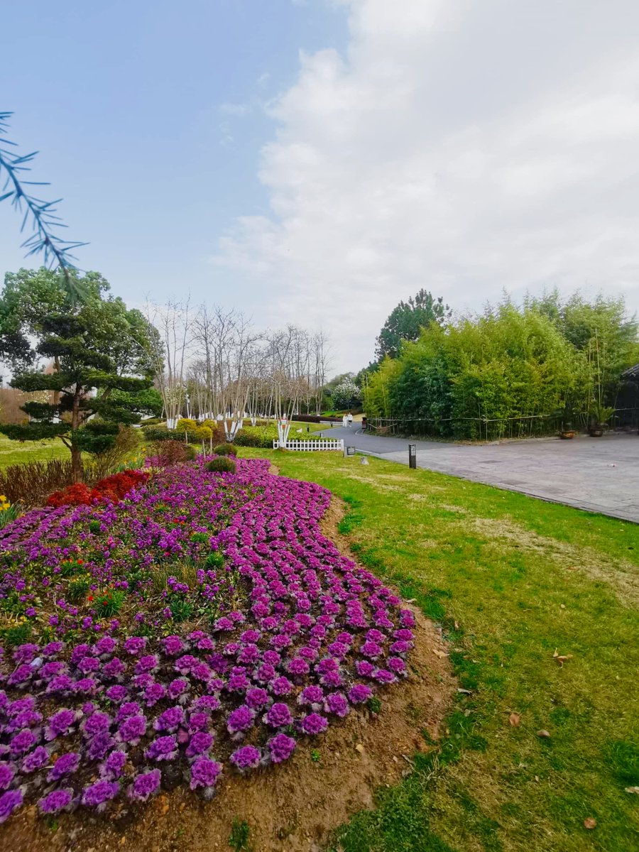 darren hobbs tweet media