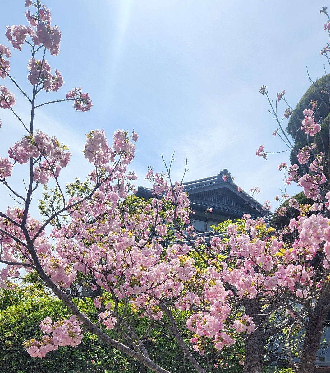 ぎんちょす@𝔼𝕓𝕝𝕒𝕟𝕒 tweet media