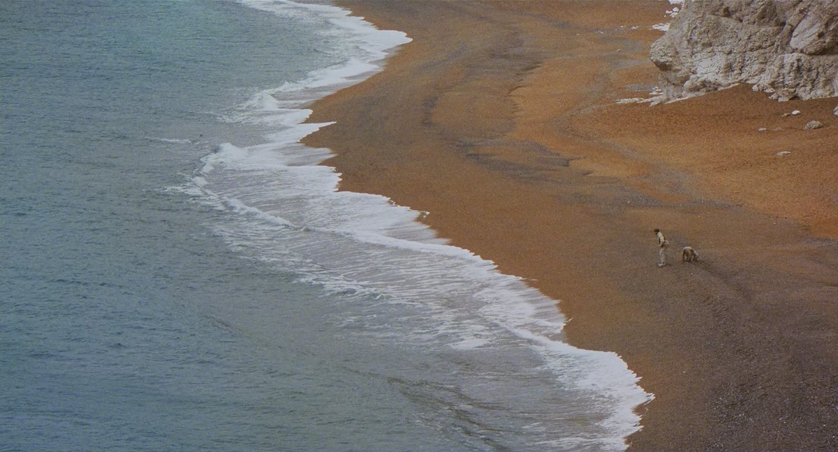 rocky happy not alone tweet media