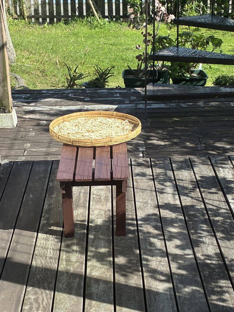 ラテルネ Laterne tweet media