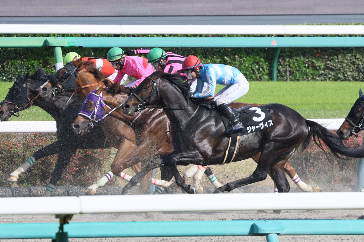 イッシー tweet media