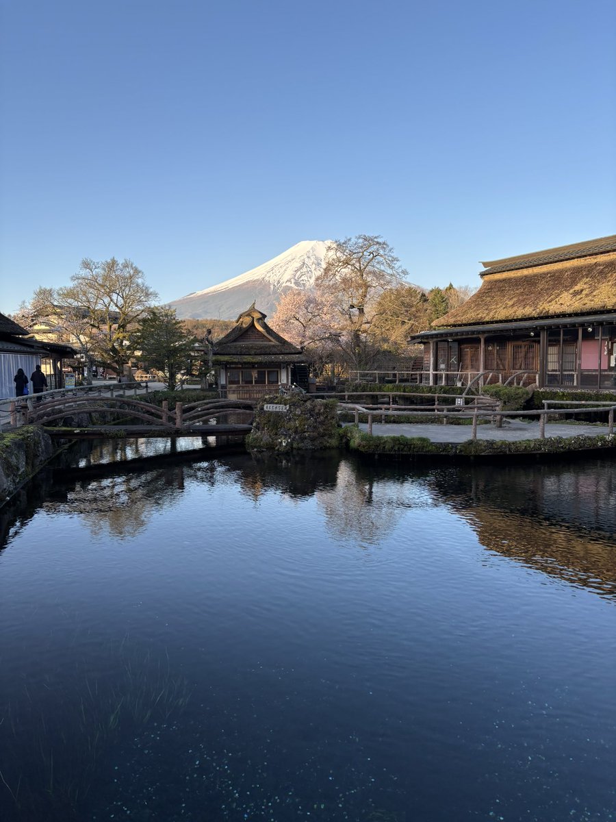 忍野八海ver春🌸

パオズ山の清流のように綺麗な水面。

水も桜も草花もスライムも全てが絵になる🖼️