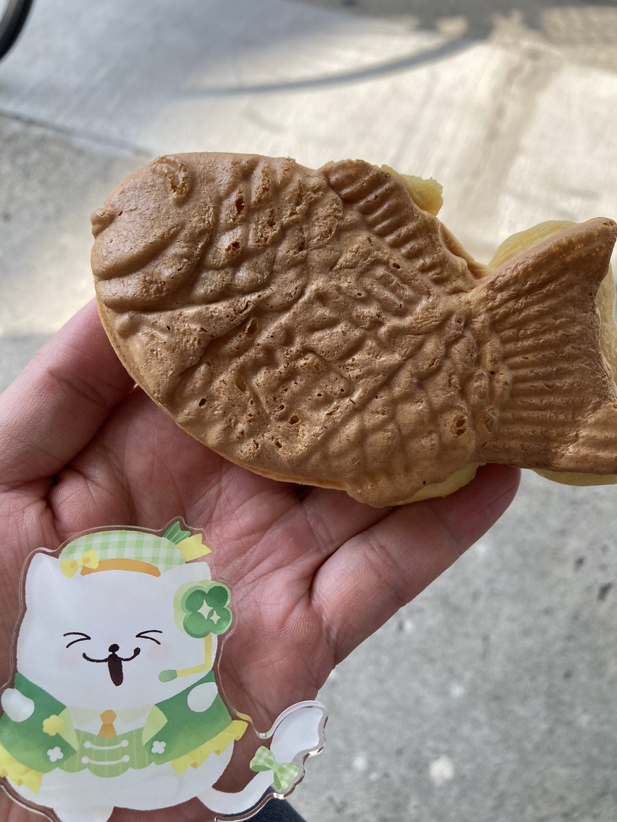 キャプテン🫧♒️🧜‍♀️ tweet media