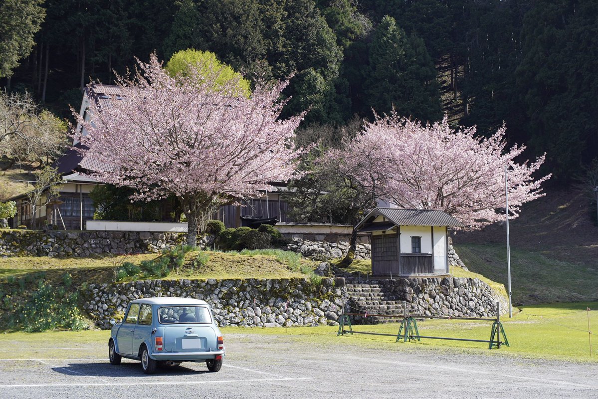 a storm in a teacup tweet media
