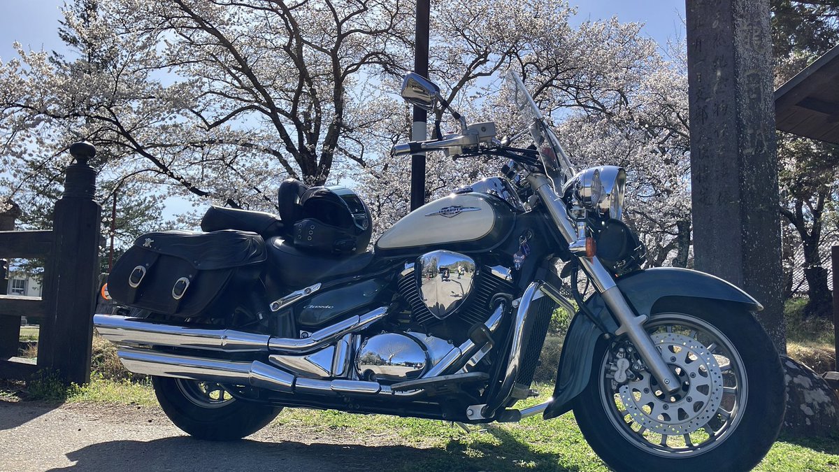 不定形生物 tweet media