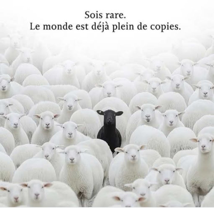 Maryline Maubois tweet media
