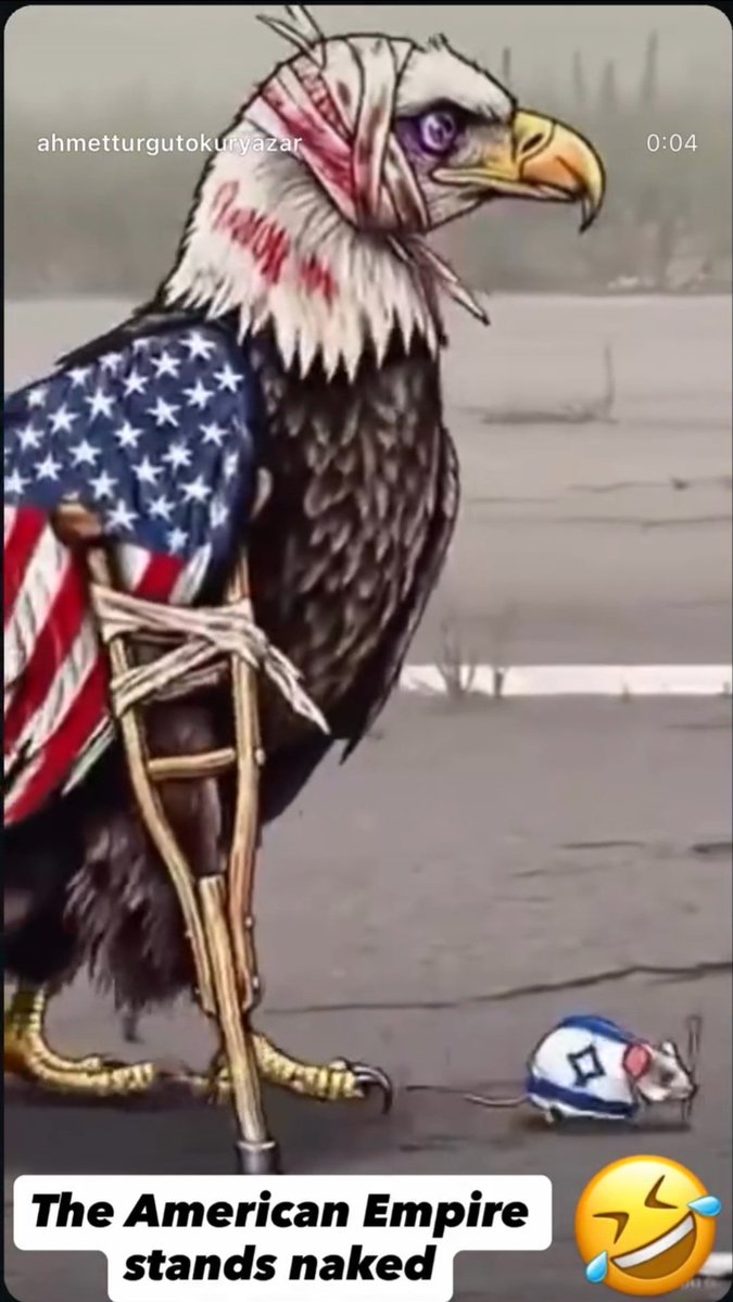 sampitkena Qaem-118 tweet media