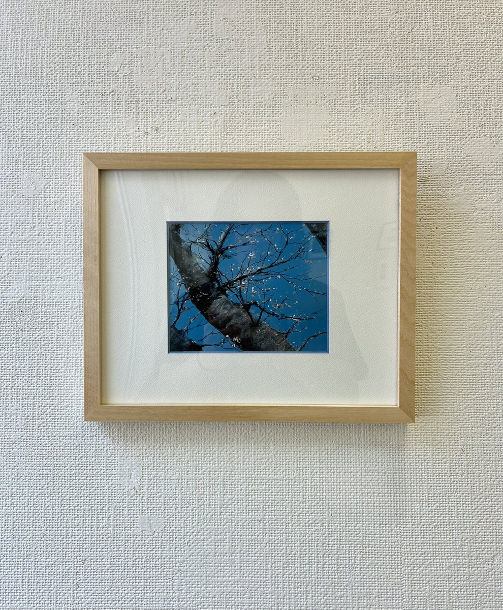 宮本寛太【三鷹個展4/10-19】 tweet media