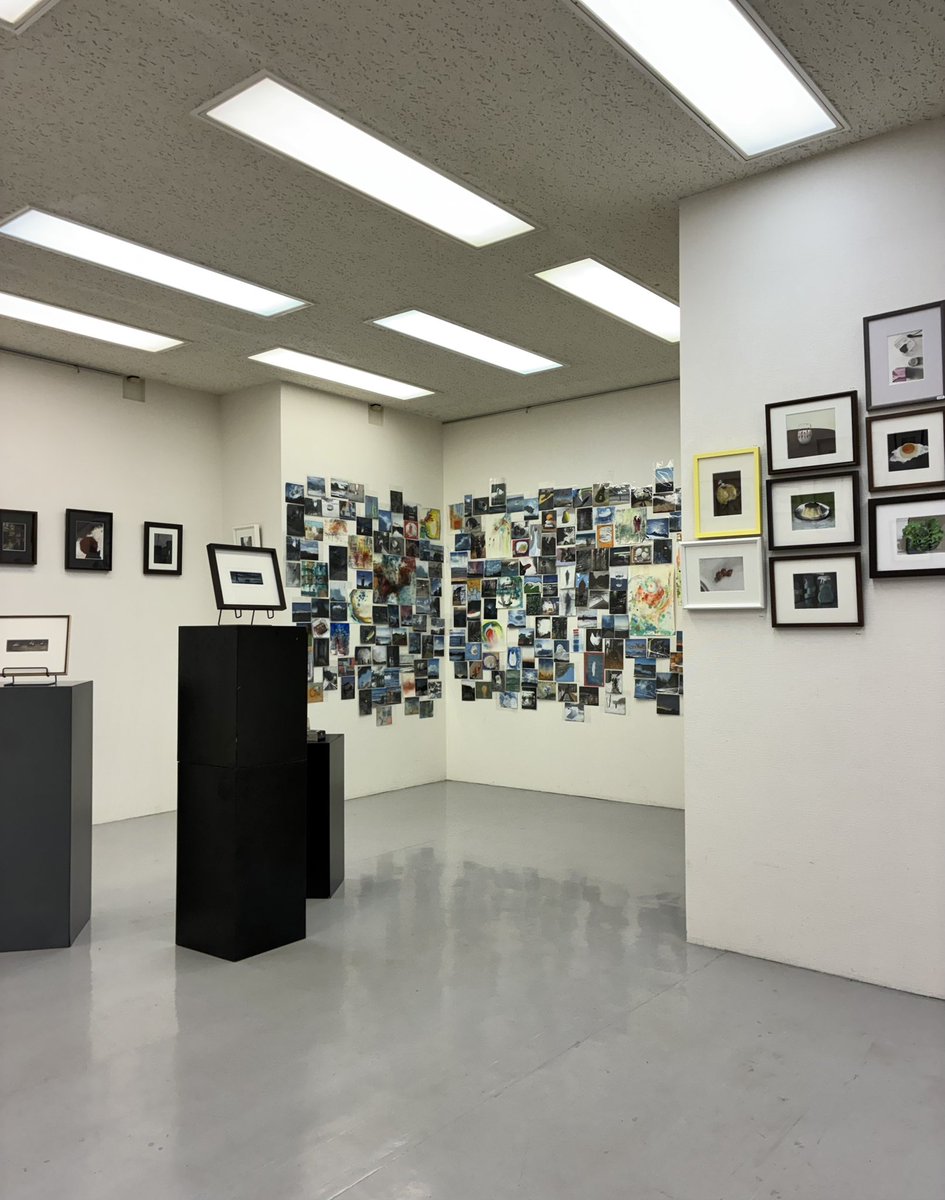 宮本寛太【三鷹個展4/10-19】 tweet media