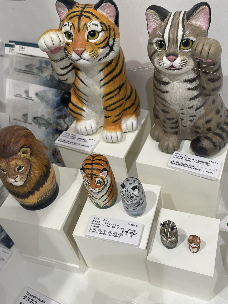 たぬきねいりの日常 tweet media