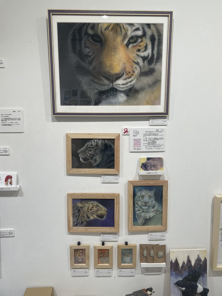 たぬきねいりの日常 tweet media