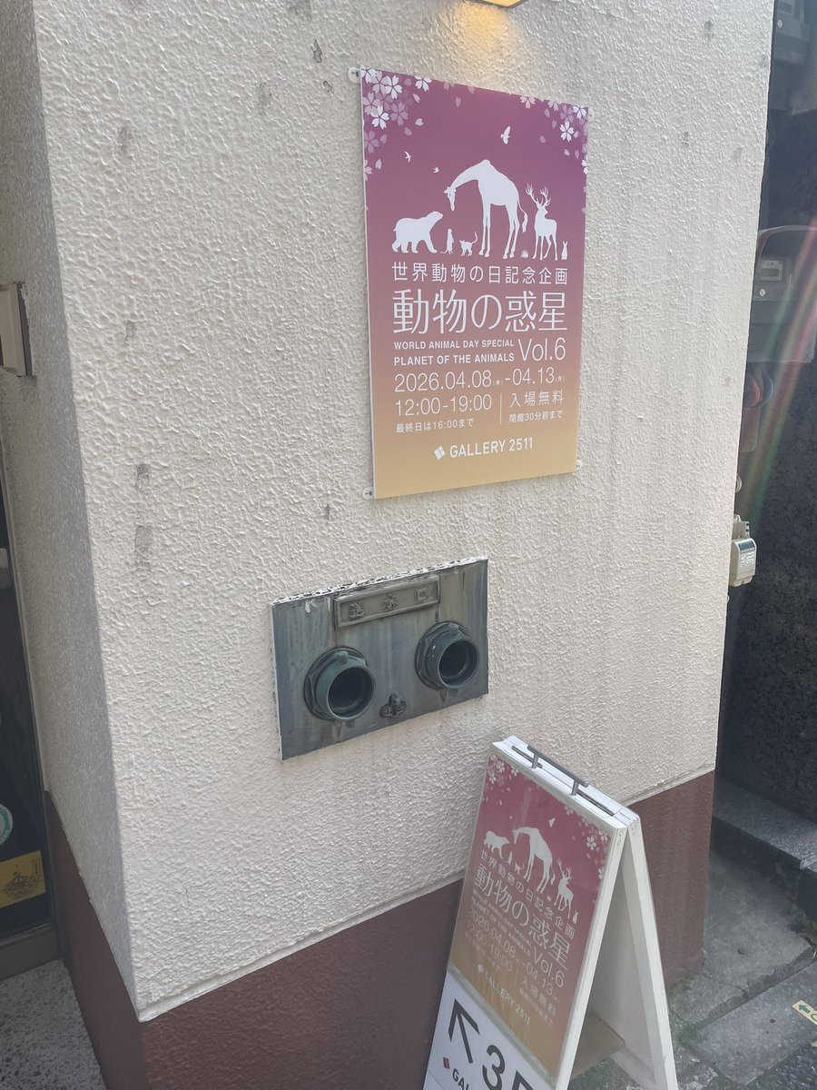 たぬきねいりの日常 tweet media