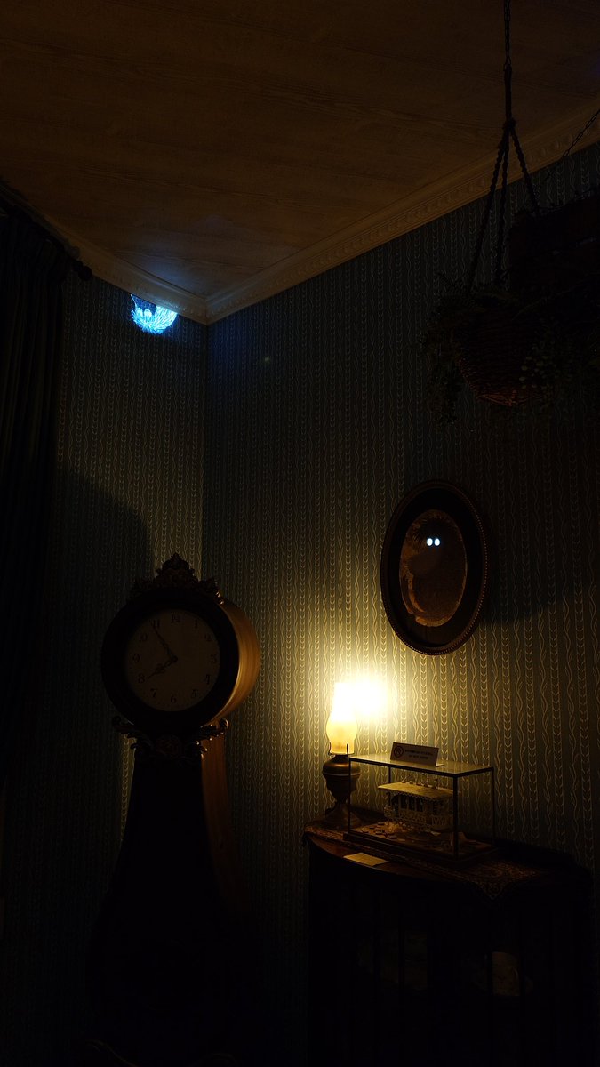 わたりん@のいん tweet media