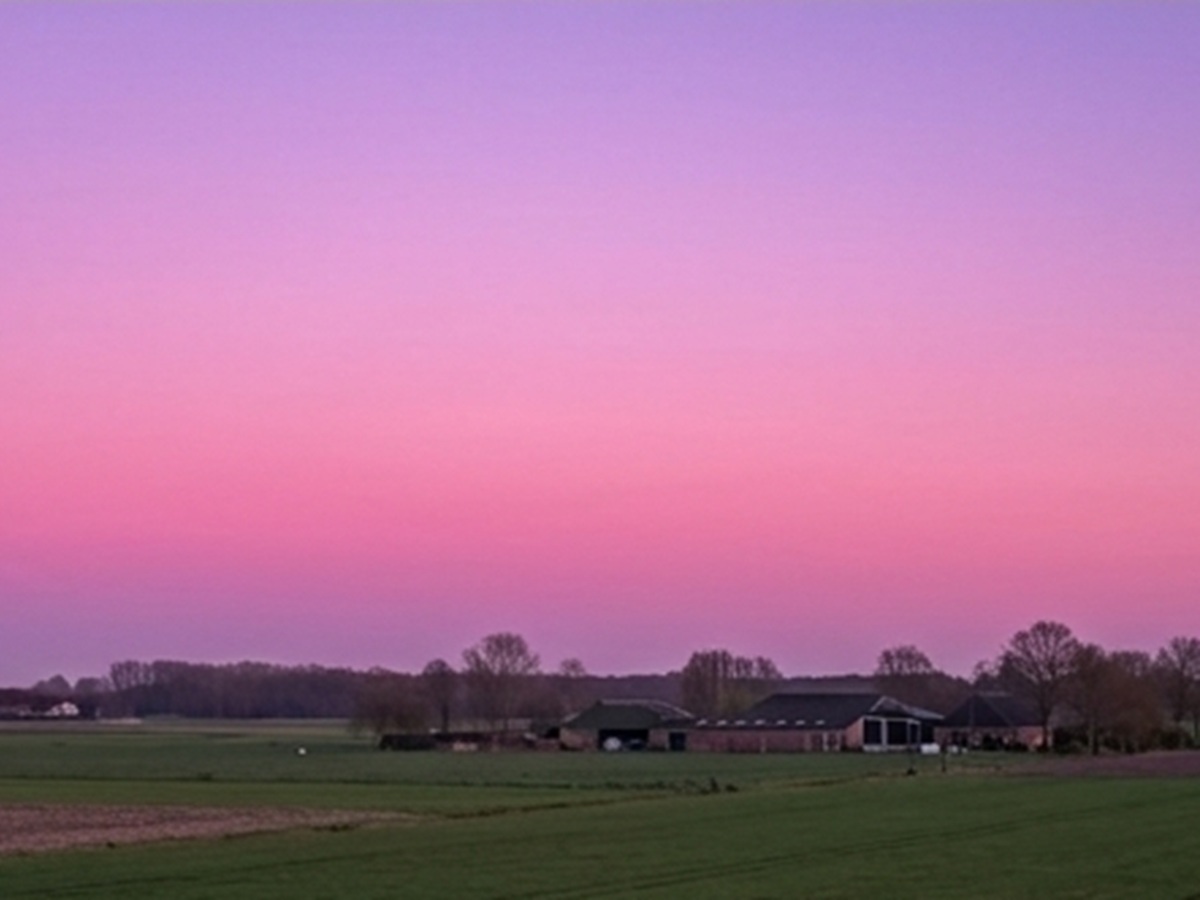 bloglezer's tweet photo. Vroege morgenlucht
stille bomen dragen licht
veld ademt langzaam
Vervolg: https://t.co/wCUqTY7tbY
#skyphotography #firsthour
#naturephotography #sunrise #earlystart #sunrisephotography #sunrisepoetry #schemering #zonsopgang #luchtfotografie #naturebeauty #HSP @StormHour https://t.co/esTBHcpBhL