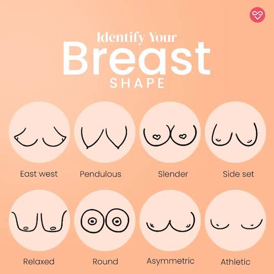 Aurelia V tweet media