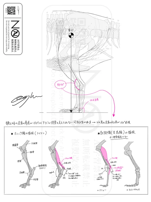 監修いただいてる古生物学・機能形態学の方からのアドバイスをまとめるとこんな感じです
・重心真下に着地
・中足骨は地面にほぼ直角
・足首の角度は150度:具体的角度は現生鳥類の統計から算出、4足の場合は150度以下も可能、哺乳類の場合は踵骨隆起の梃子の原理で150度以下でも効率的に支えられる 