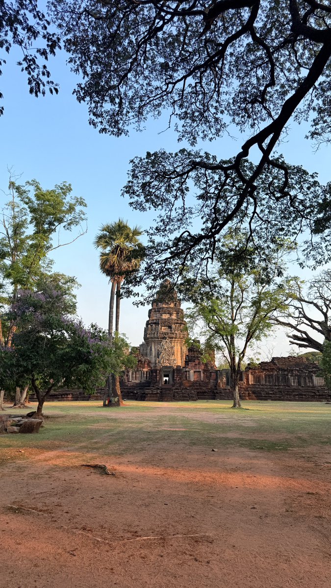 Ran 🌹 tweet media