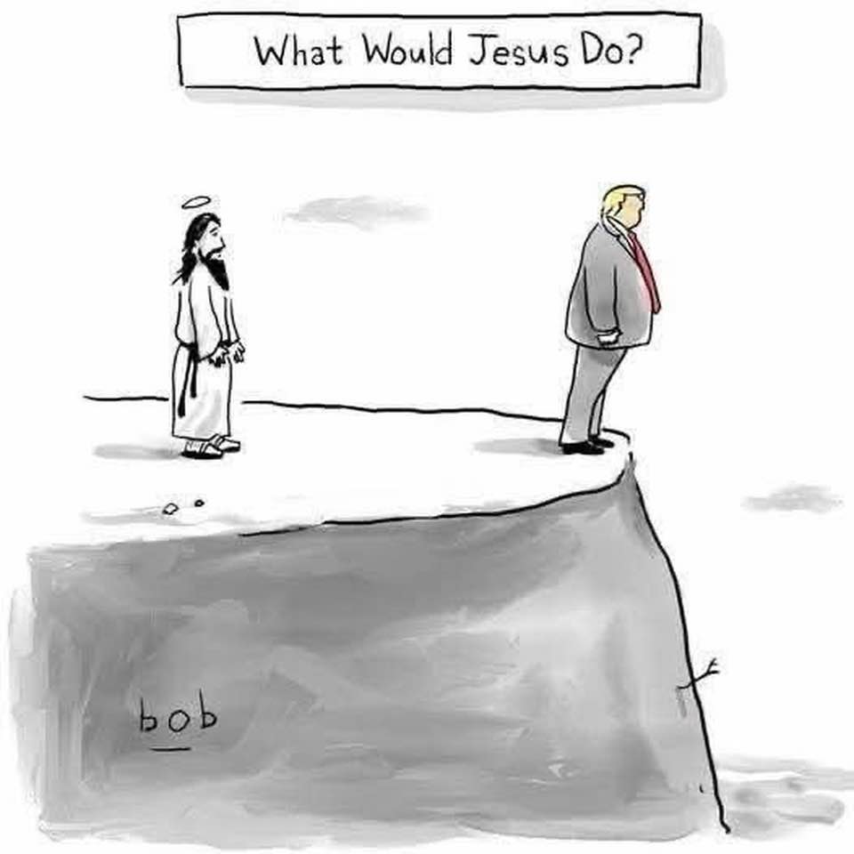 Steve Stoliar tweet media