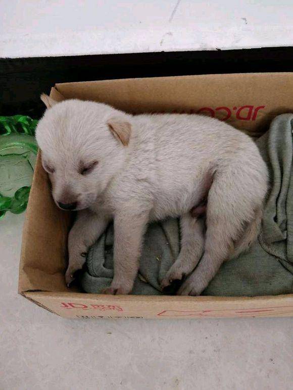 Riri Cline tweet media