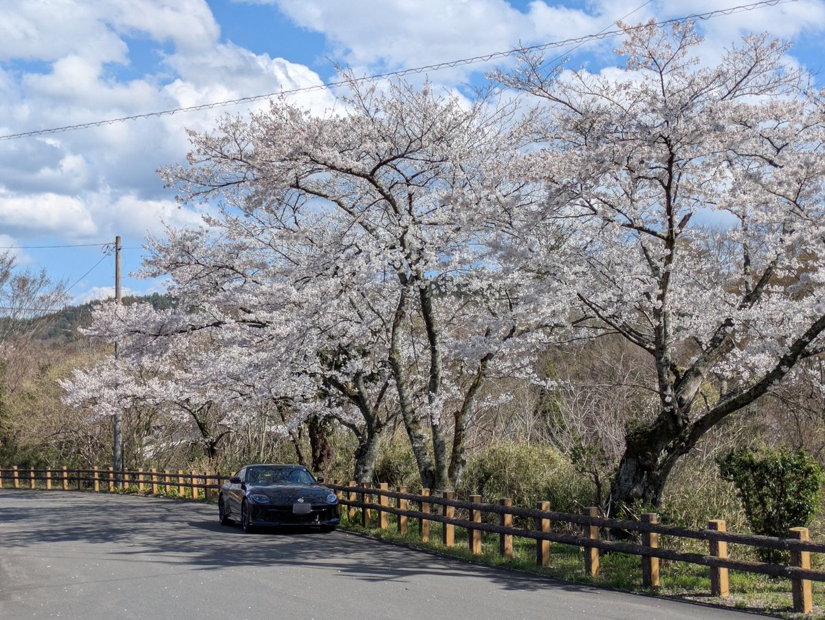 Asuno934's tweet photo. 桜めっちゃきれい〜🌸 https://t.co/zxFZrKf6JN