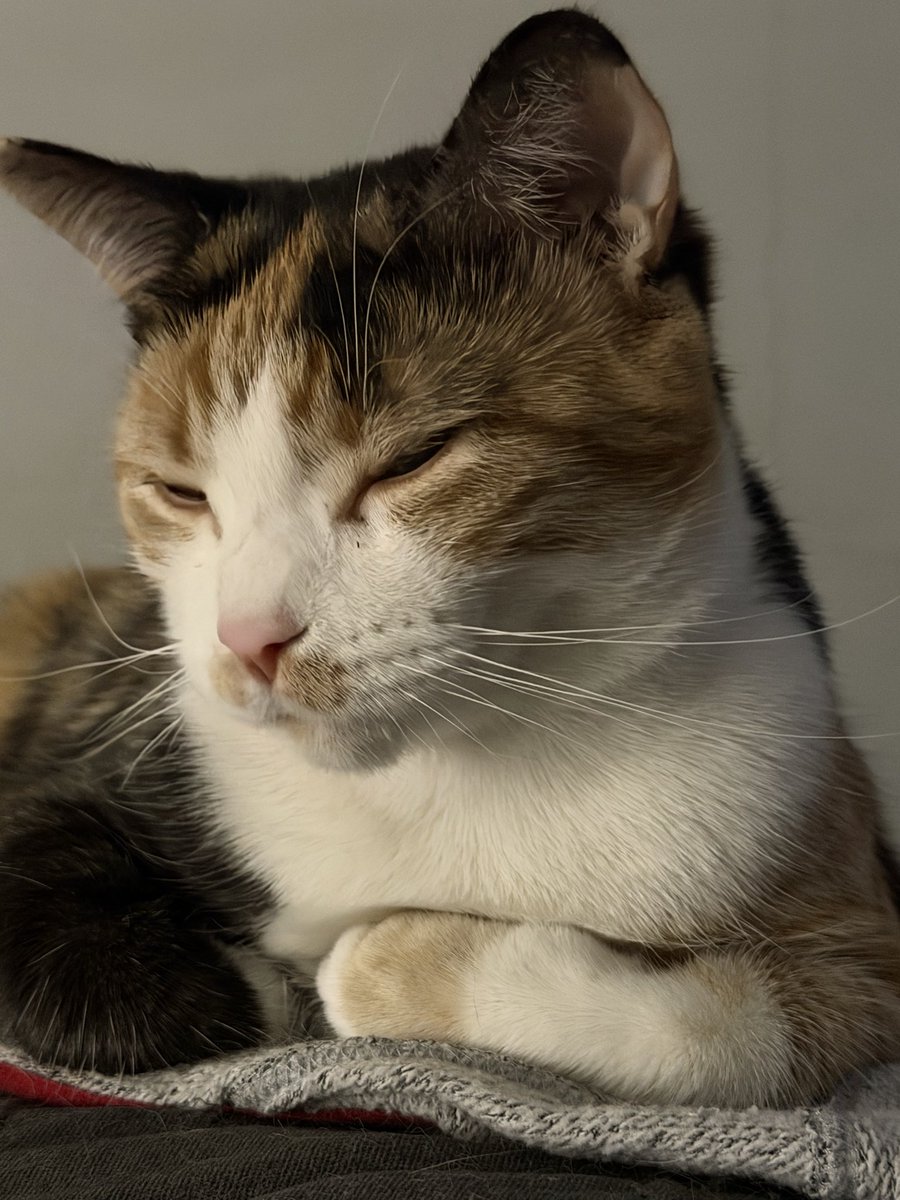 LadyRuski🫀 tweet media