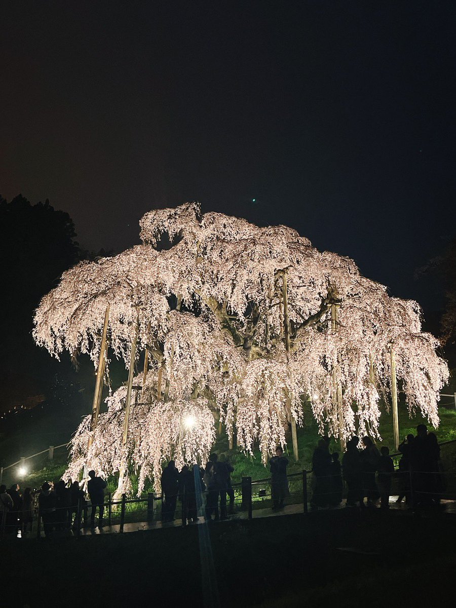 浜崎美保 Hamasaki Miho tweet media