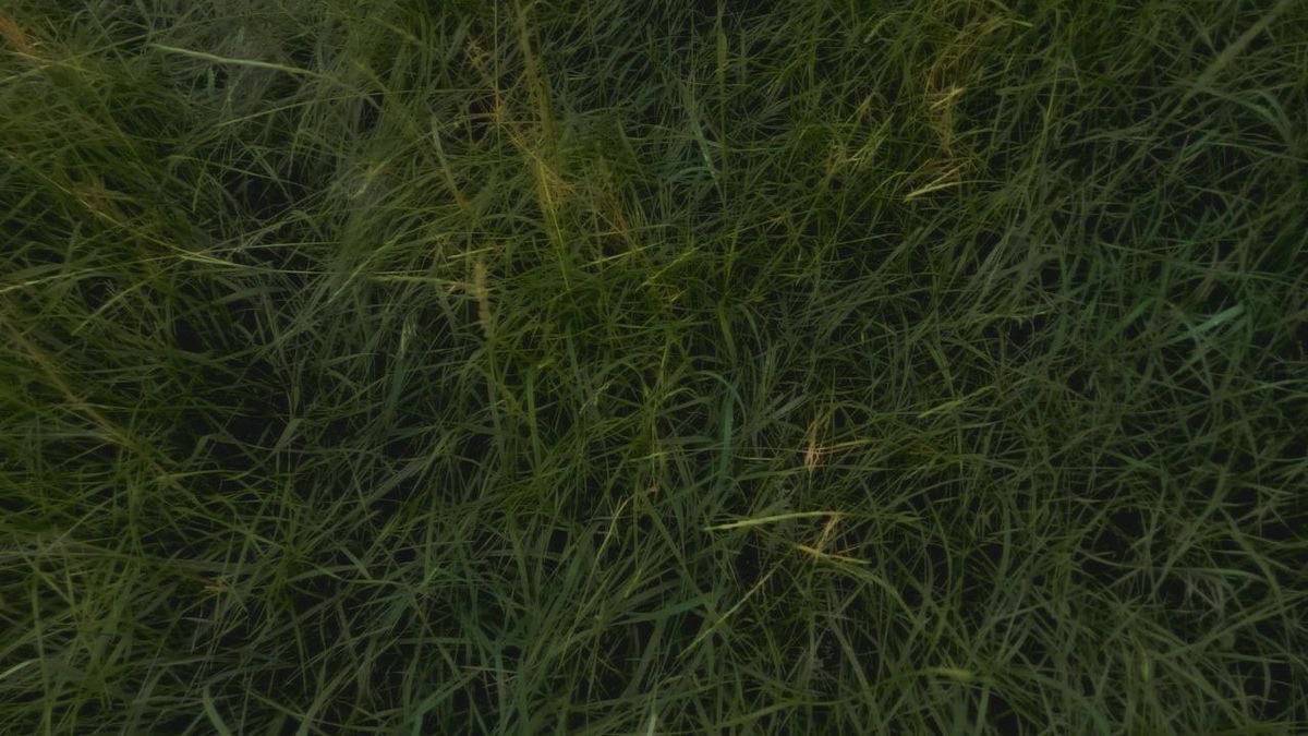 𝓫𝓵𝓾𝓮˚˖𓍢ִ໋˚🪽 tweet media