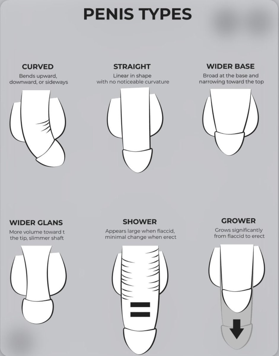 Aurelia V tweet media