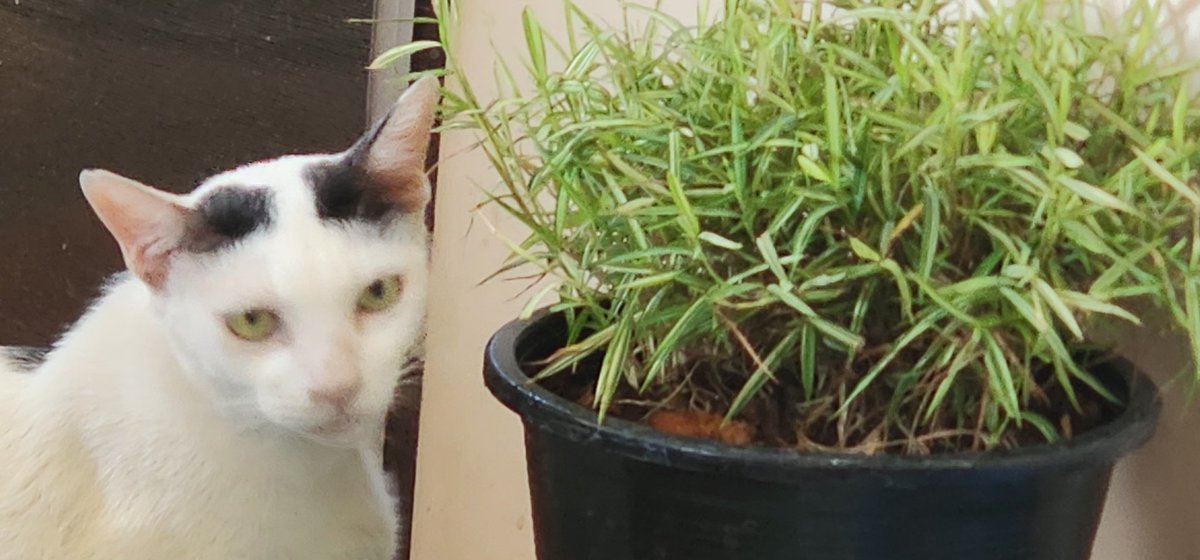 Moverine tweet media