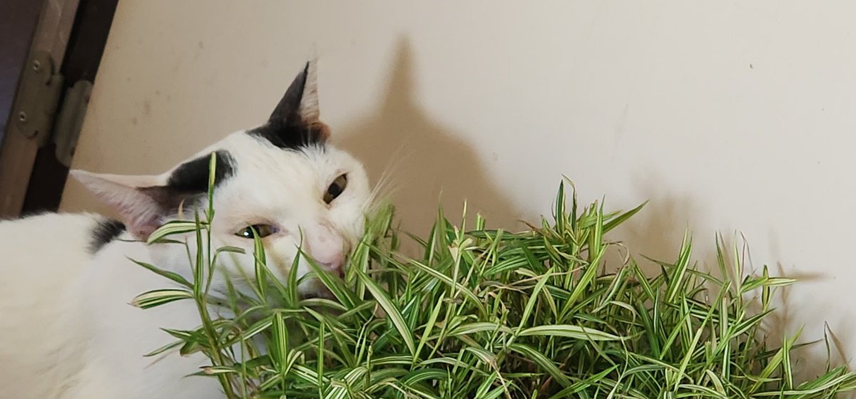 Moverine tweet media