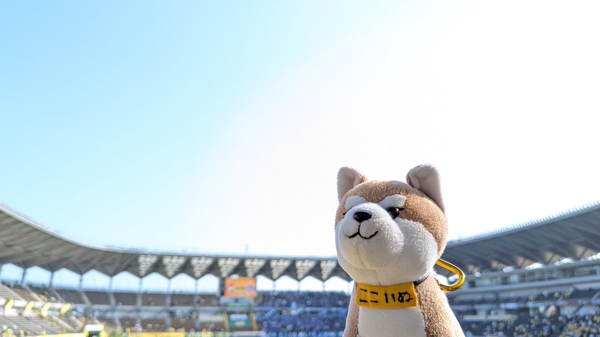 世界で一番ココが好き tweet media