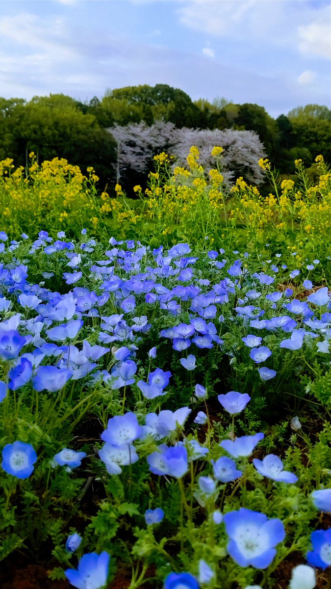 吉田カツミ 【バーニングパンチ/天破侠乱】今までありがとうございました tweet media