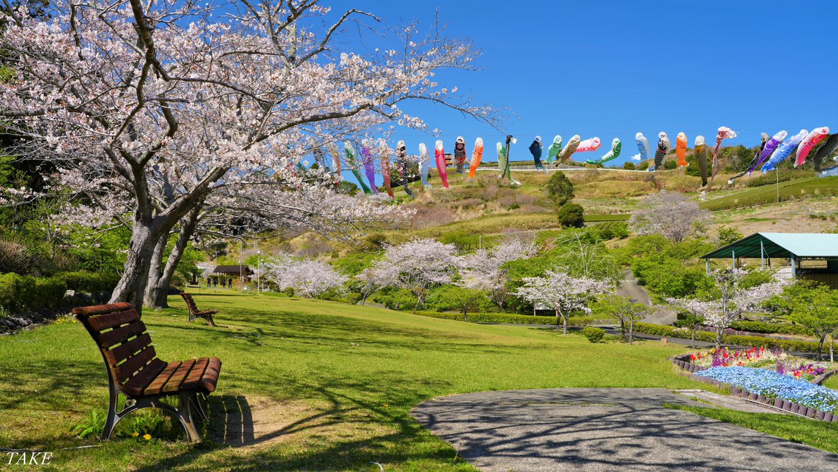 TAKE (花鳥風月 時々Bike) tweet media