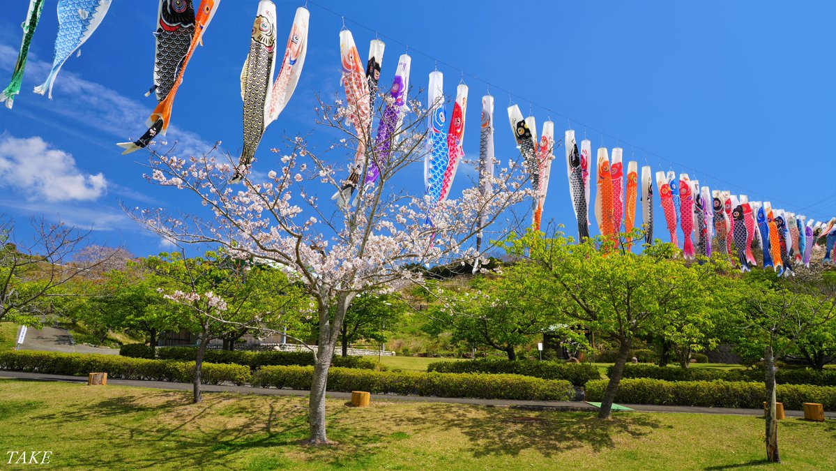 TAKE (花鳥風月 時々Bike) tweet media