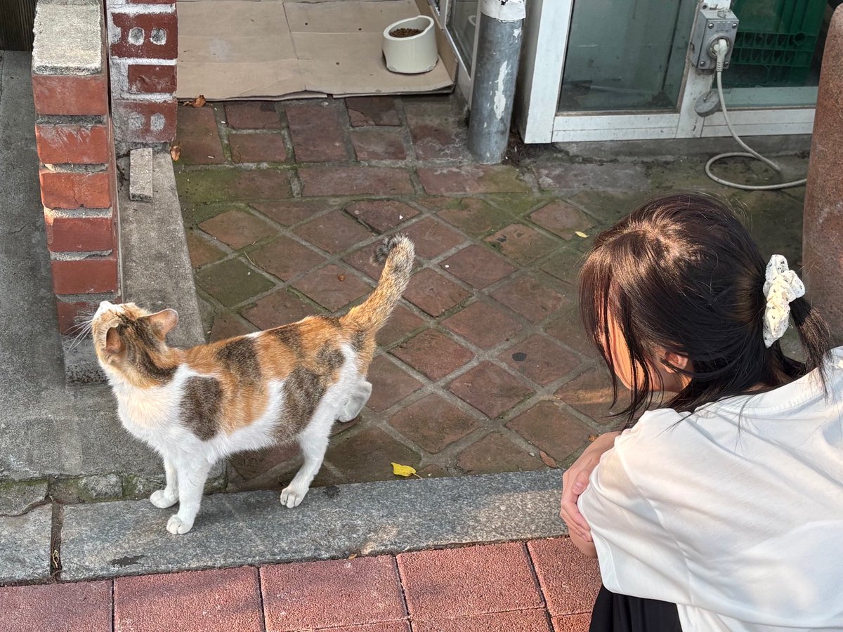 BABYMONSTER PICS tweet media