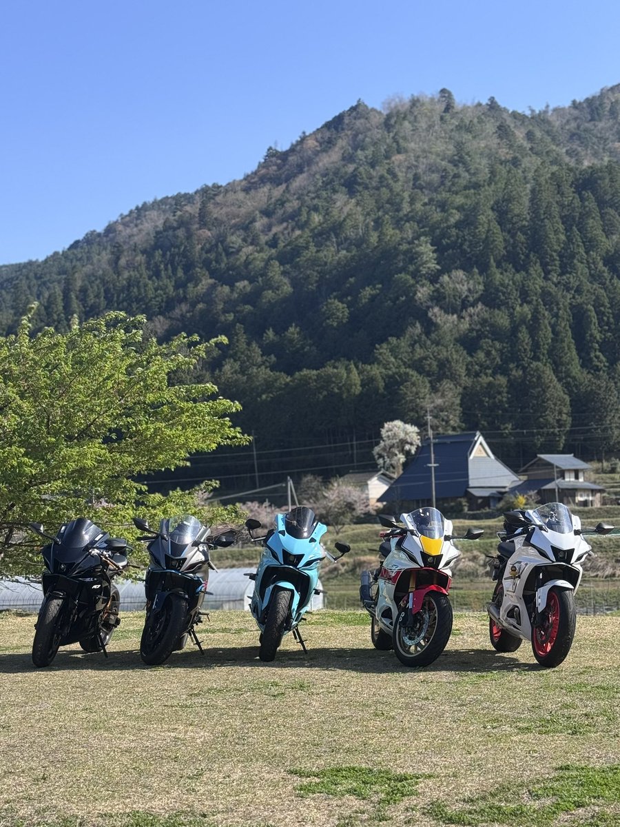 HamuHamu tweet media