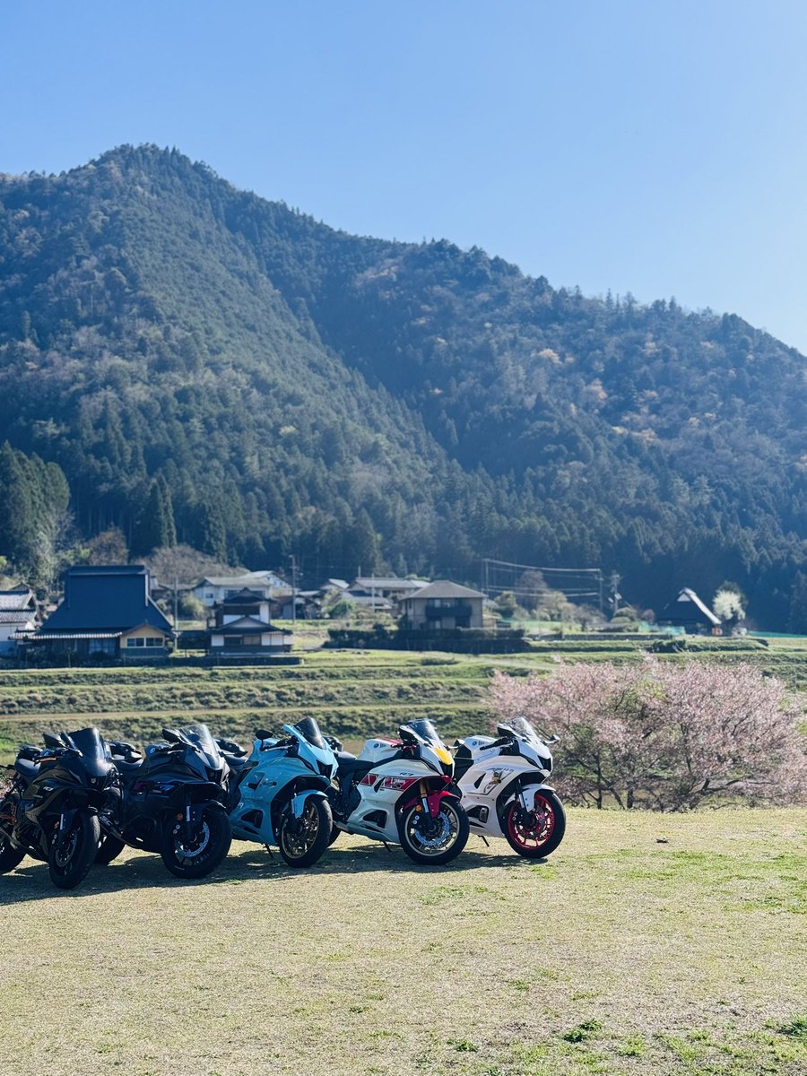 HamuHamu tweet media