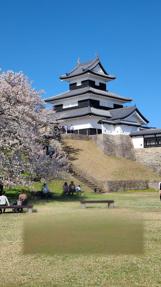 遅刻豚⏰😭🚍🐷 tweet media