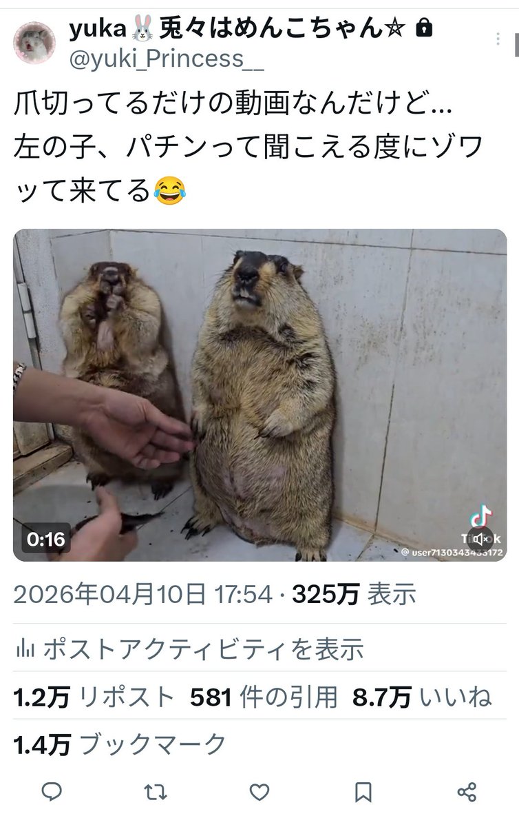 yuka🐰兎々はめんこちゃん⛥ tweet media