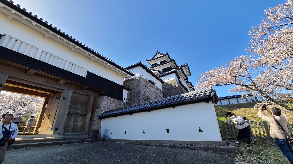 遅刻豚⏰😭🚍🐷 tweet media