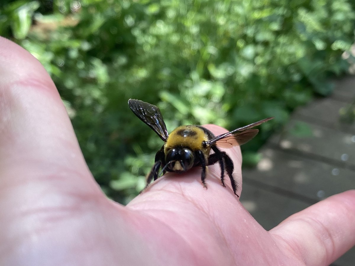 到津の森公園 tweet media