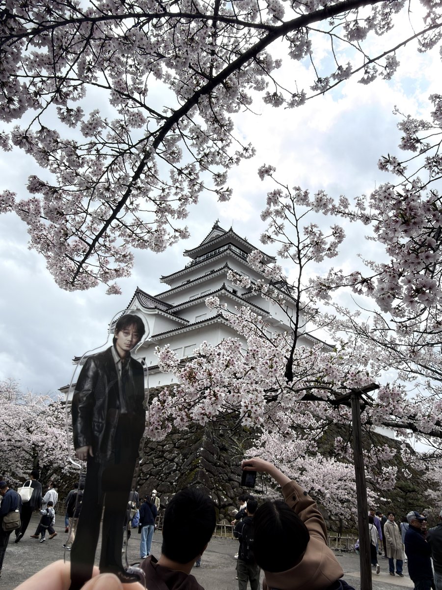 74_semaine's tweet photo. 剛さん、いえ容保様、今年の会津の桜です🌸
#綾野ギャラクシー剛と #GalaxyGo https://t.co/Idm9QO1dF8